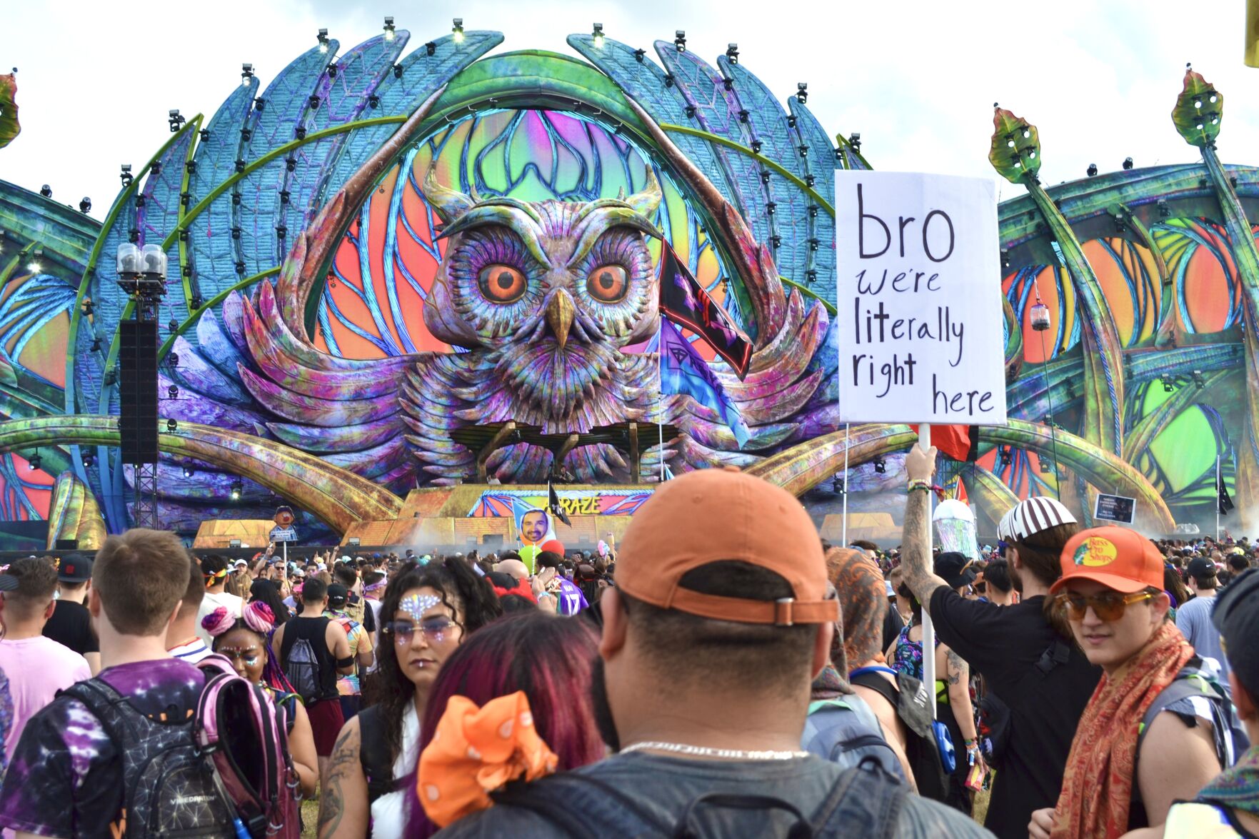 The immersive world of EDC